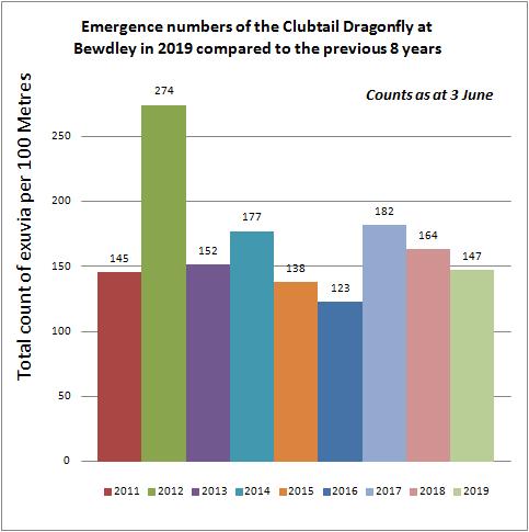Emergence numbers of Cludtail Dragonfly - Mike Averill