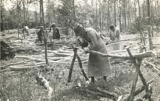 Bark Peeling in the Wyre Forest, probably during the 1930s